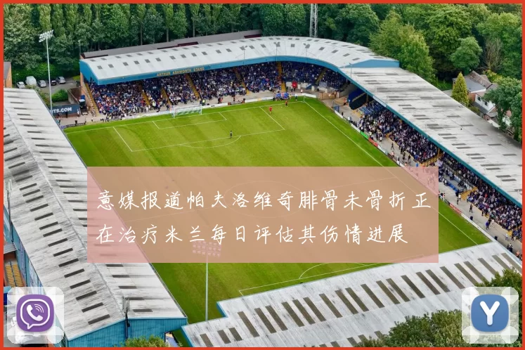 意媒报道帕夫洛维奇腓骨未骨折正在治疗米兰每日评估其伤情进展